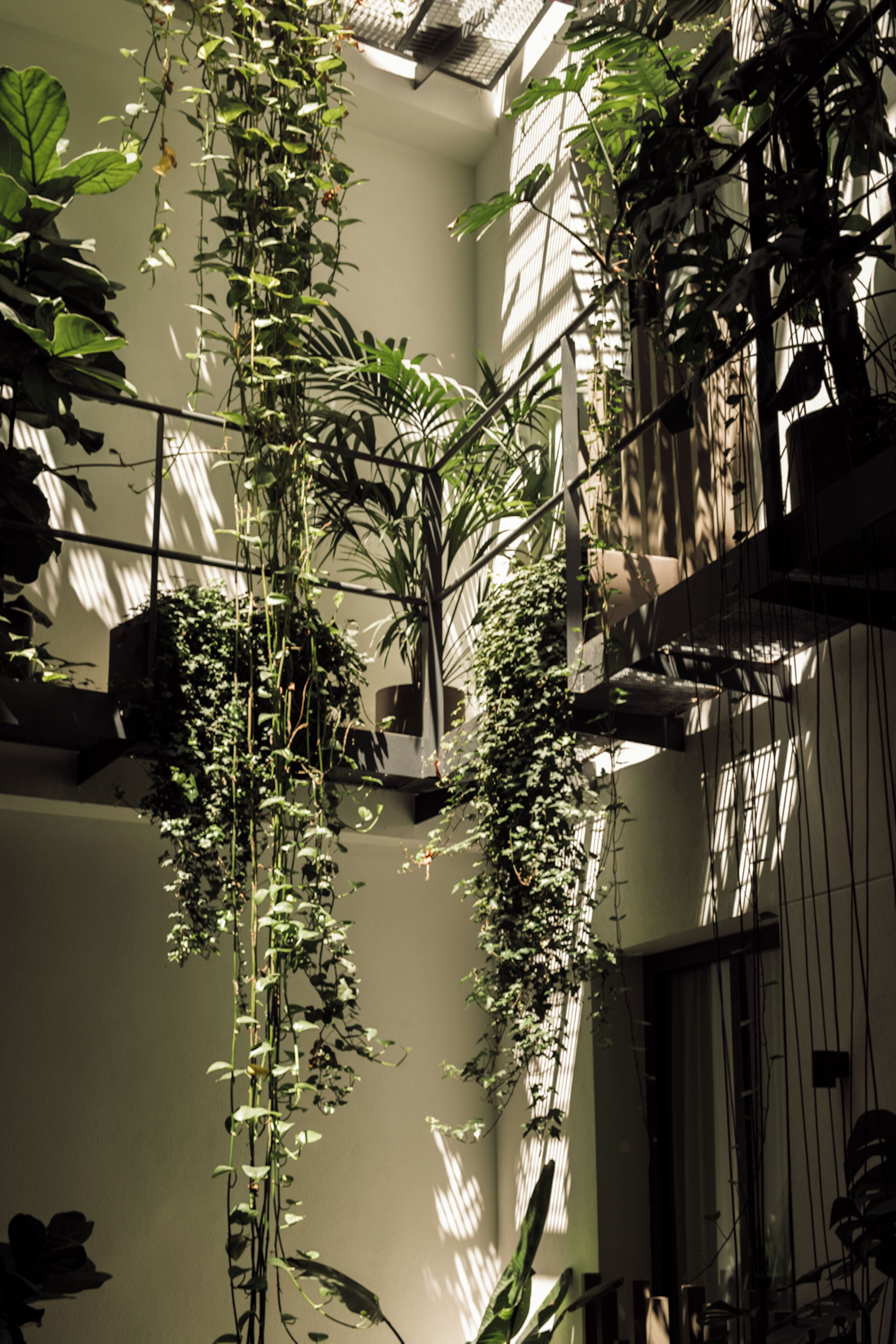 Photo - Hotel Well and Come Malaga