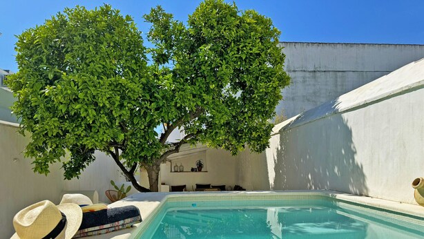 Une piscine dont le bord est revêtu de carrelage, entourée d’un mur blanc et d’un arbre qui offre de l’ombre.