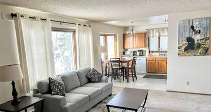 Bright & Spacious Downtown 2 Bedroom Apt w/ King bed!