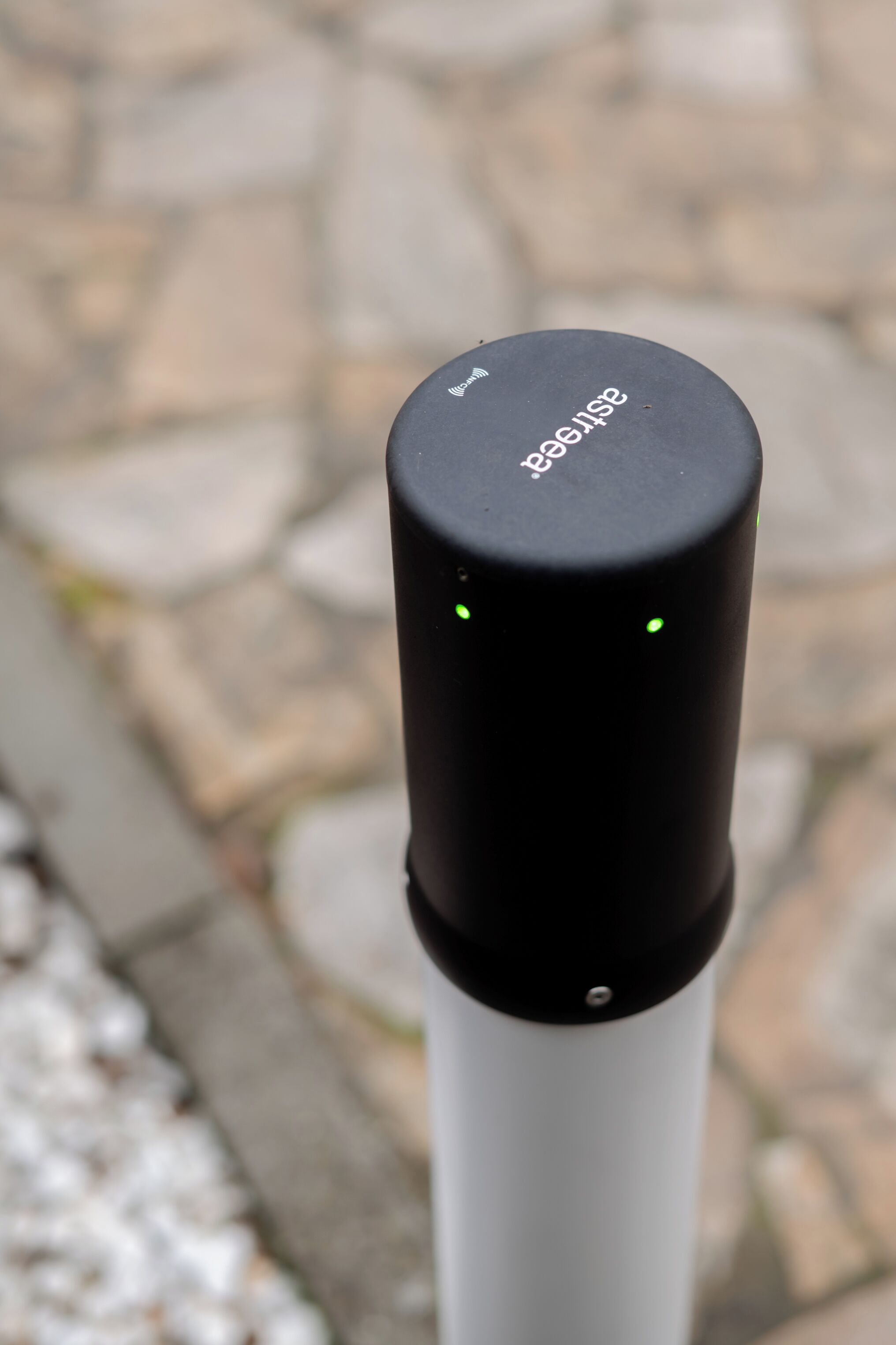 Foto - Hotel Royal Plaza