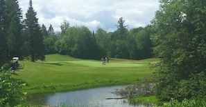 Ein Golfplatz mit Teich und Bäumen.
