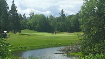 A golf course with a pond, surrounded by dense trees.