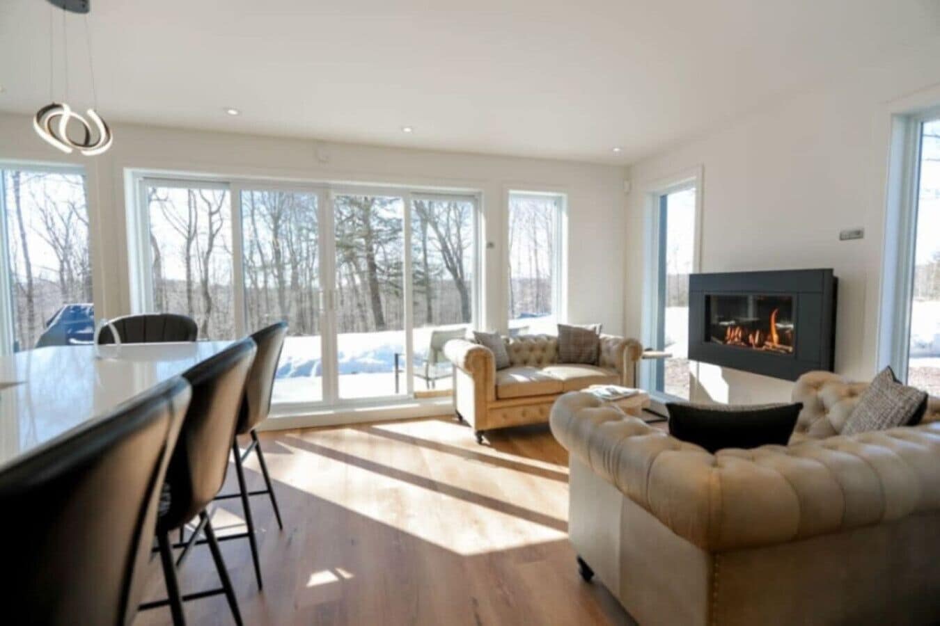 Télévision, cheminée, chaîne hi-fi