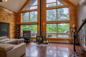 Televisión y chimenea 