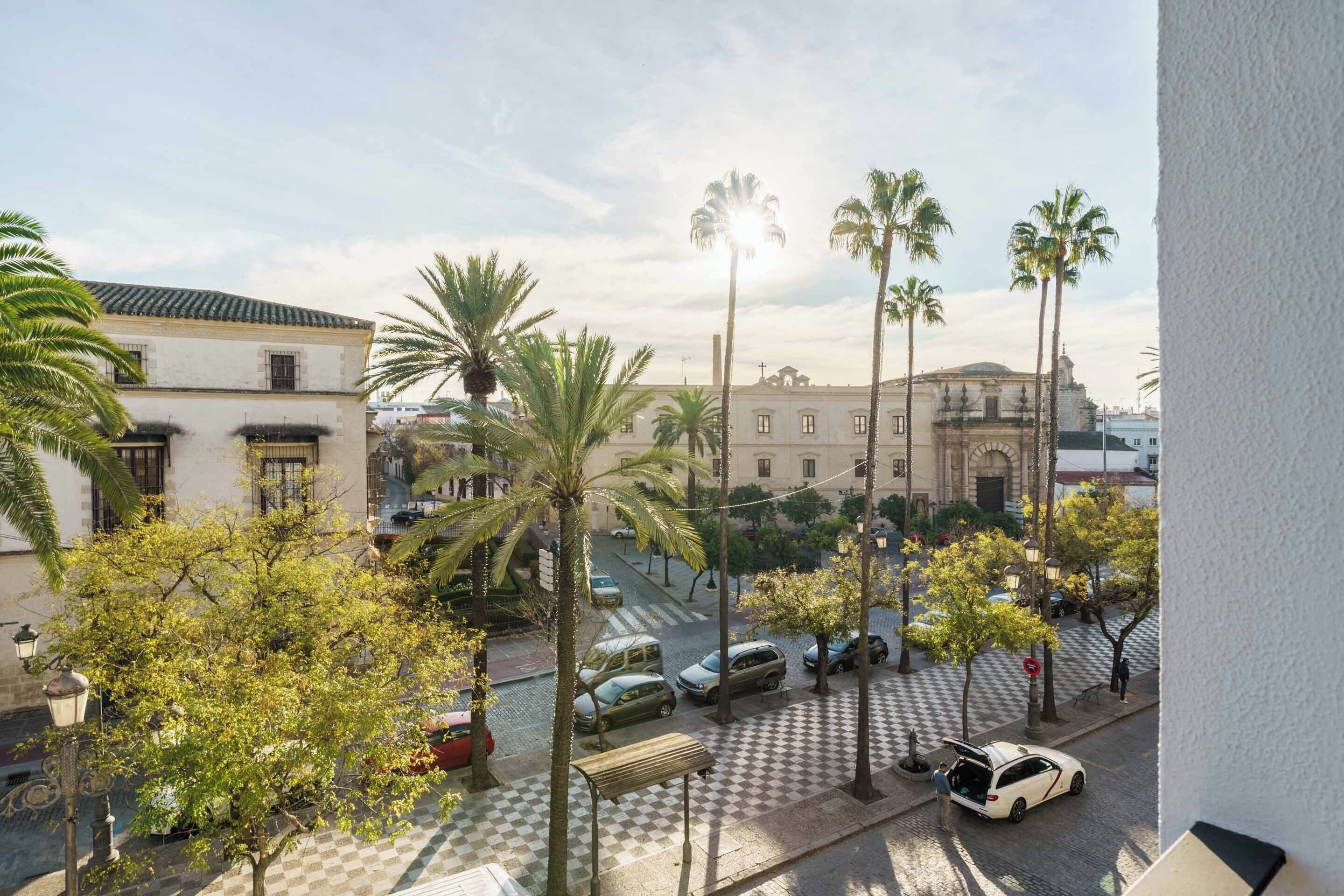 A street view with parked cars, palm trees, and buildings.