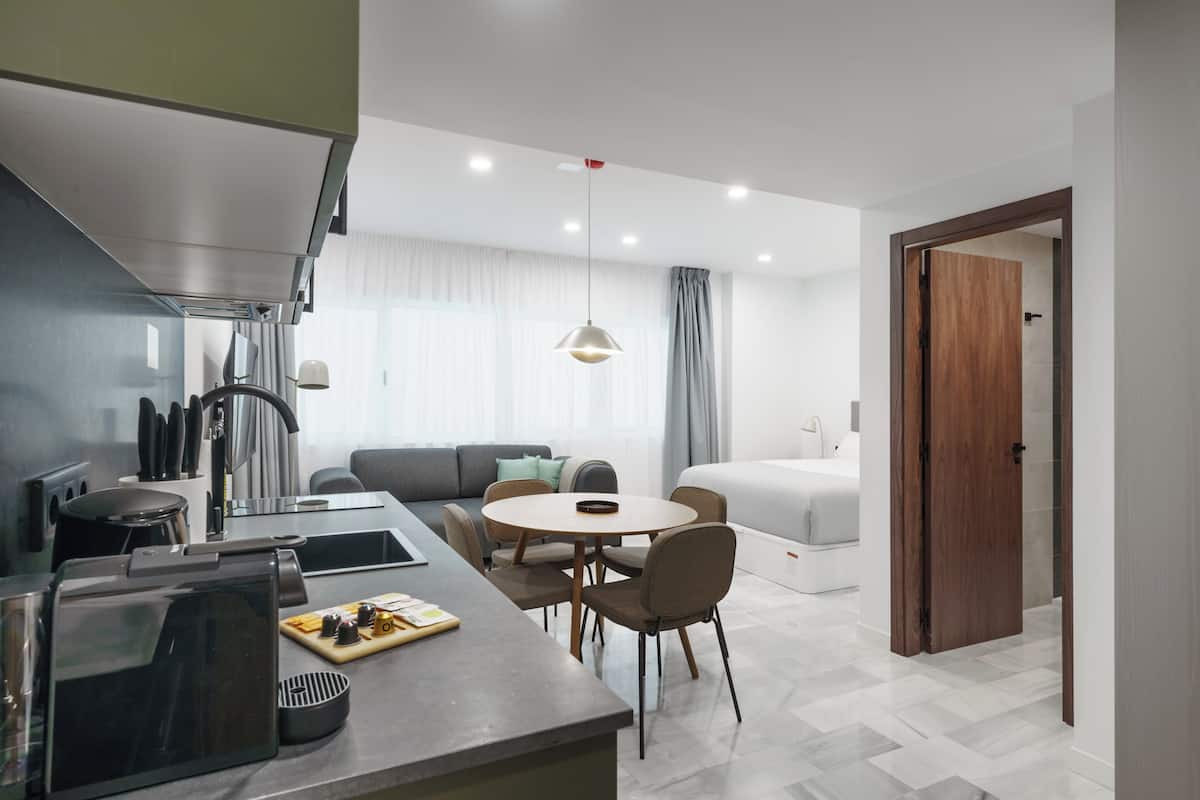 Studio with Sofa Bed | Private kitchen | Fridge, microwave, oven, stovetop