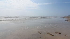 Een strand met zand en verspreid drijfhout.