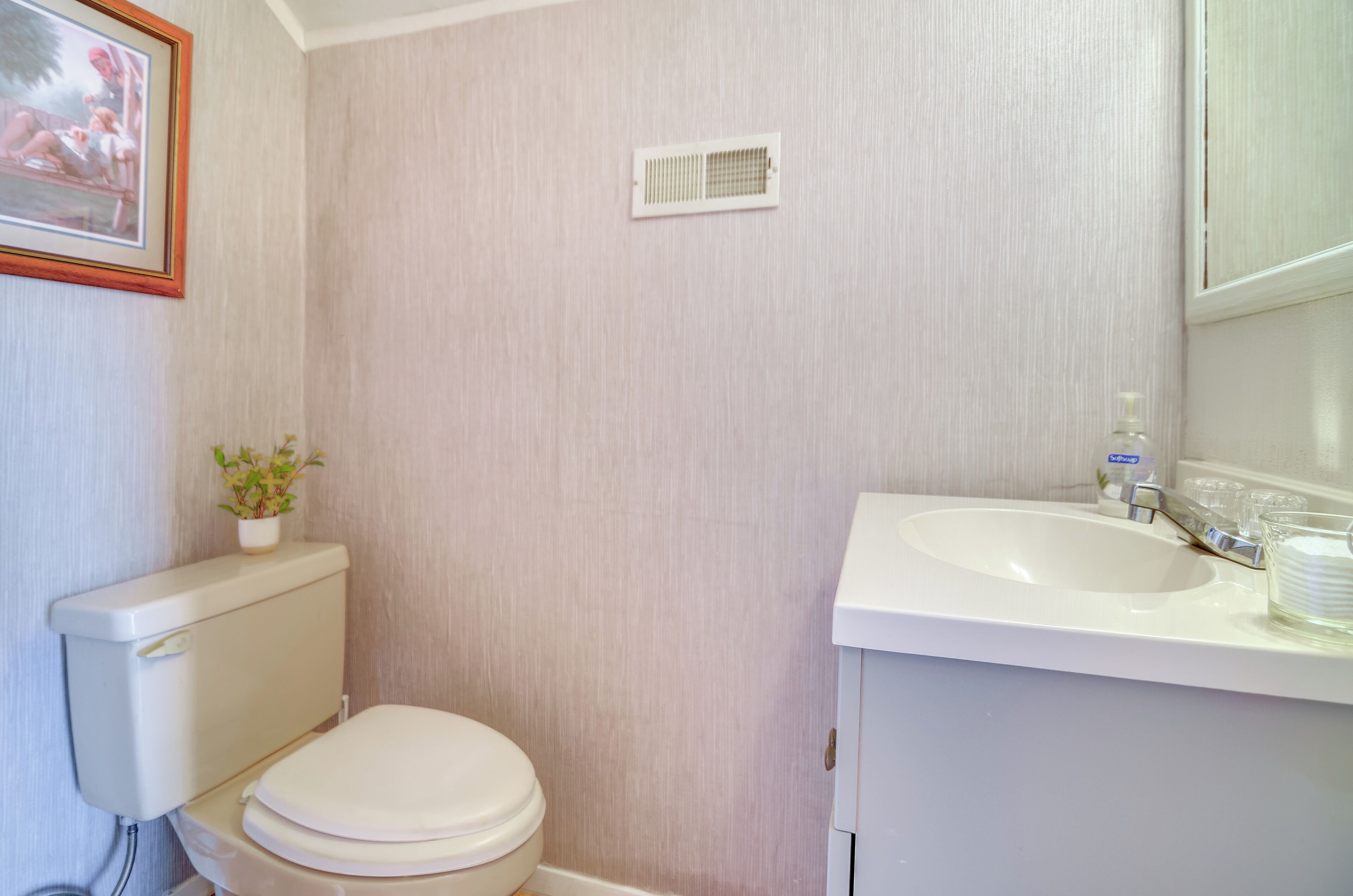 A small bathroom with a toilet, sink, and a small plant on the wall.