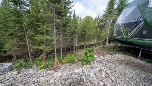 Una tenda a cupola geodetica in una zona boschiva con terreno roccioso e alberi alti.