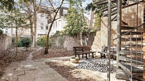 Une cour avec un banc en bois, un tapis à motifs zébrés et un mur en briques.