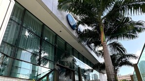 Um edifício moderno com fachada de vidro, uma palmeira e uma escadaria que leva à entrada.