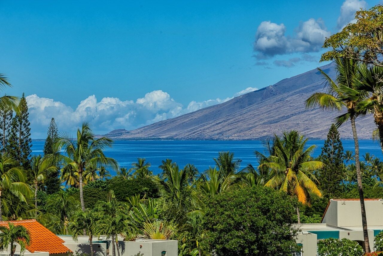 A coastal view with a mountain in the background, palm trees, and a clear blue sky.