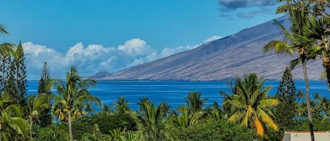 A coastal view with a mountain in the background, palm trees, and a clear blue sky.