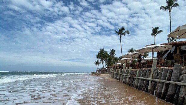 A beach with a wooden walkway, palm trees, and beach umbrellas.
