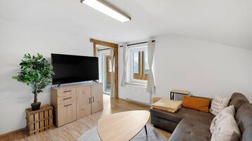 Smart TV, videojuegos, reproductor de DVD y libros