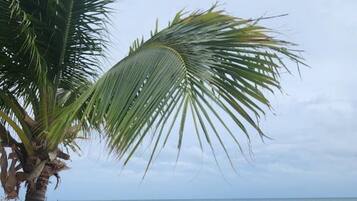 NĂ€ra stranden, solstolar och strandhanddukar