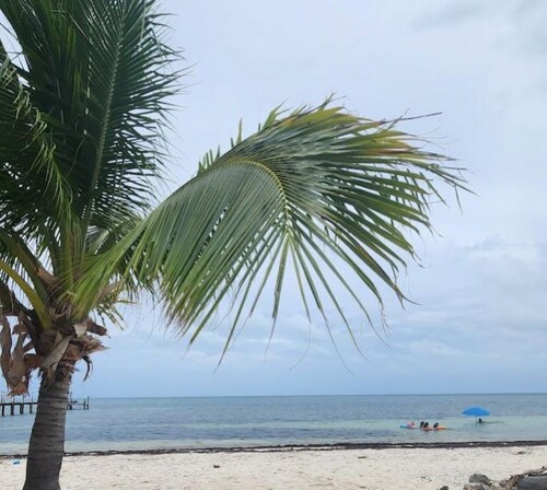 Escape to a Charming 2-Bedroom Cottage in Long Key – Your Perfect Getaway!