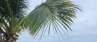 Escape to a Charming 2-Bedroom Cottage in Long Key – Your Perfect Getaway!