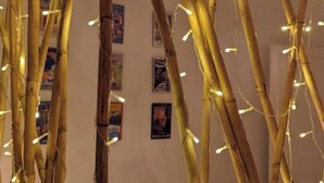 Een kamer met bamboe takken en lichtjes.