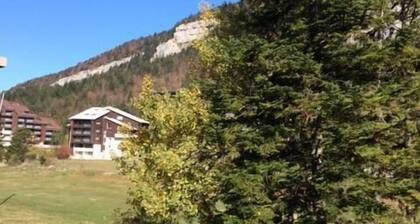 Wifi, pied des pistes de ski, 1er Ă©tage, balcon, tĂ©lĂ©vision, 30mÂČ, Villard de Lans