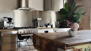 A modern kitchen with stainless steel appliances, a wooden countertop, and a potted plant. - La CLOCHETTE / La MAISONNETTE, La MAISONNETTE (Lugon-et-l'Île-du-Carnay)
