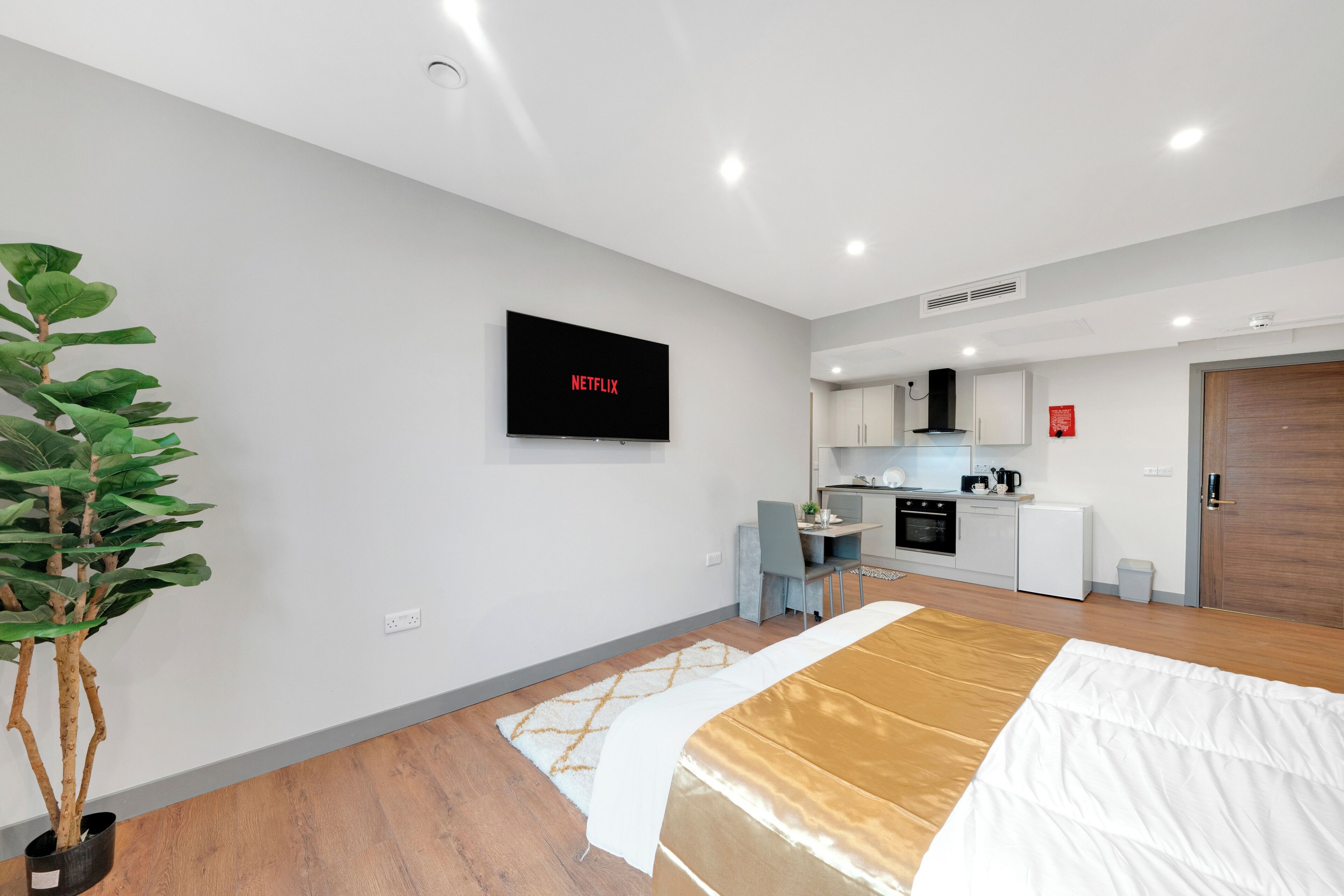 A modern hotel room with a bed, a TV mounted on the wall, a small kitchenette, and a potted plant.