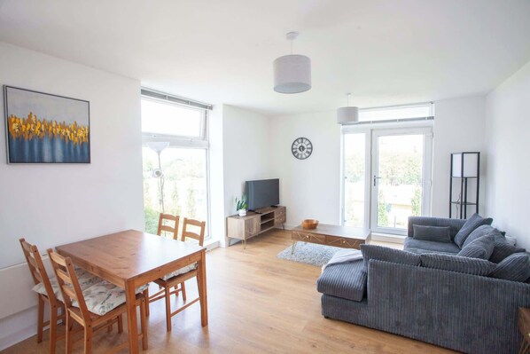 Fernseher, Arbeitsbereiche