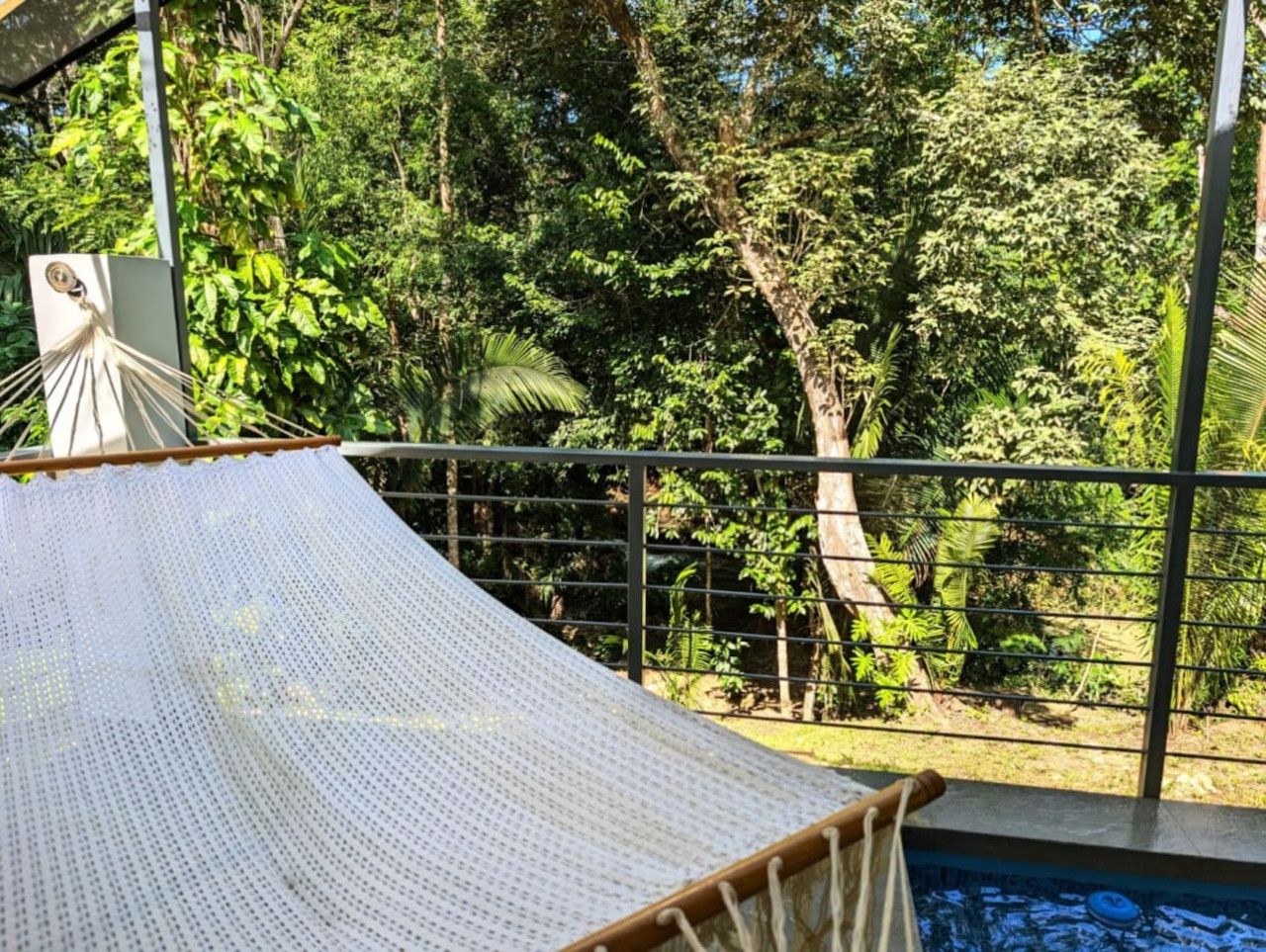 A hammock with a metal frame and a white net, positioned near a pool and surrounded by lush greenery.