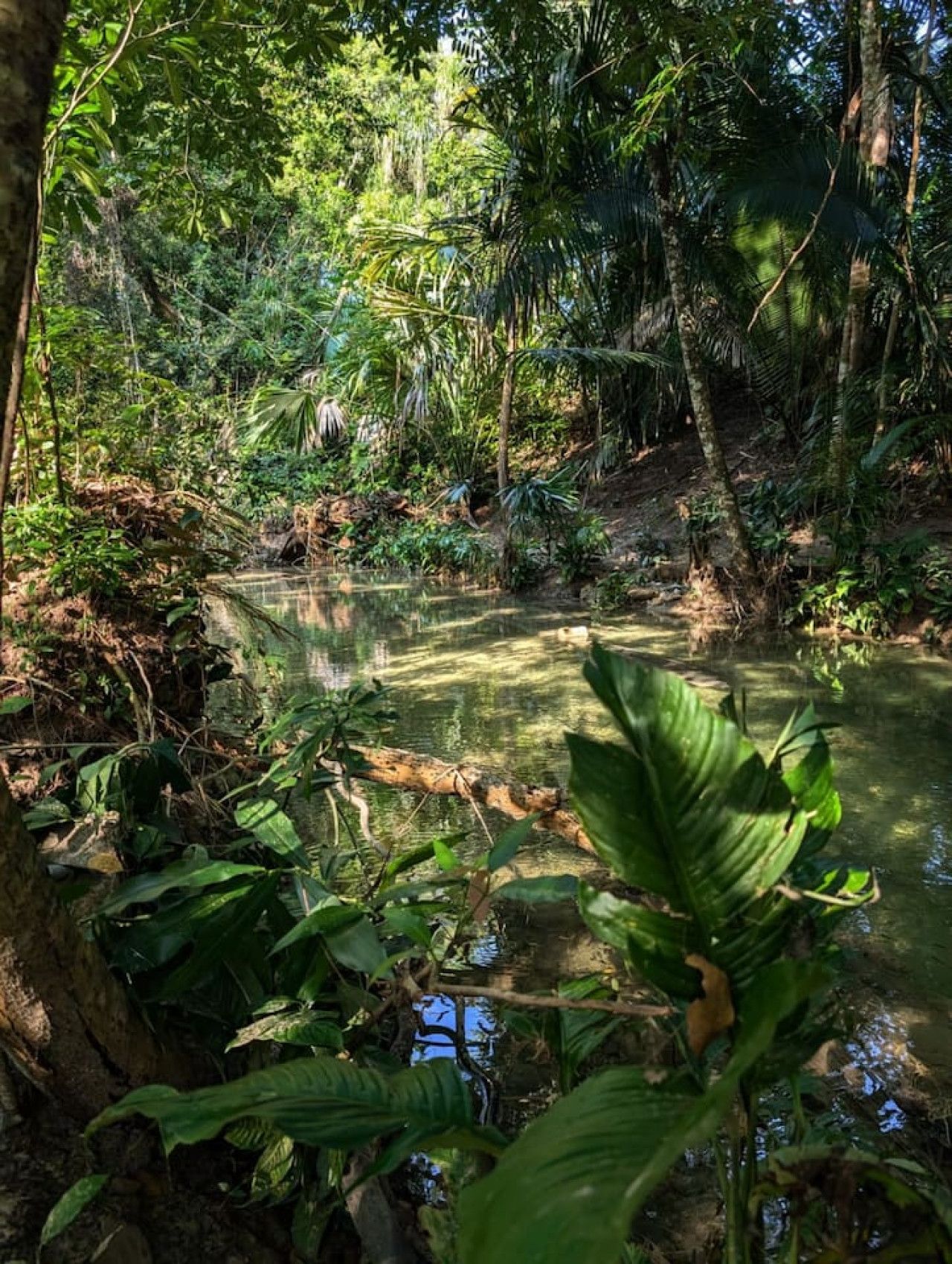 Gorgeous Creek View