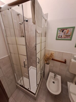 Hair dryer, towels, toilet paper