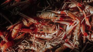 A close-up of numerous cooked lobsters piled together.