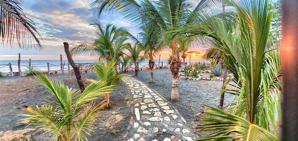 ビーチ / オーシャン ビュー