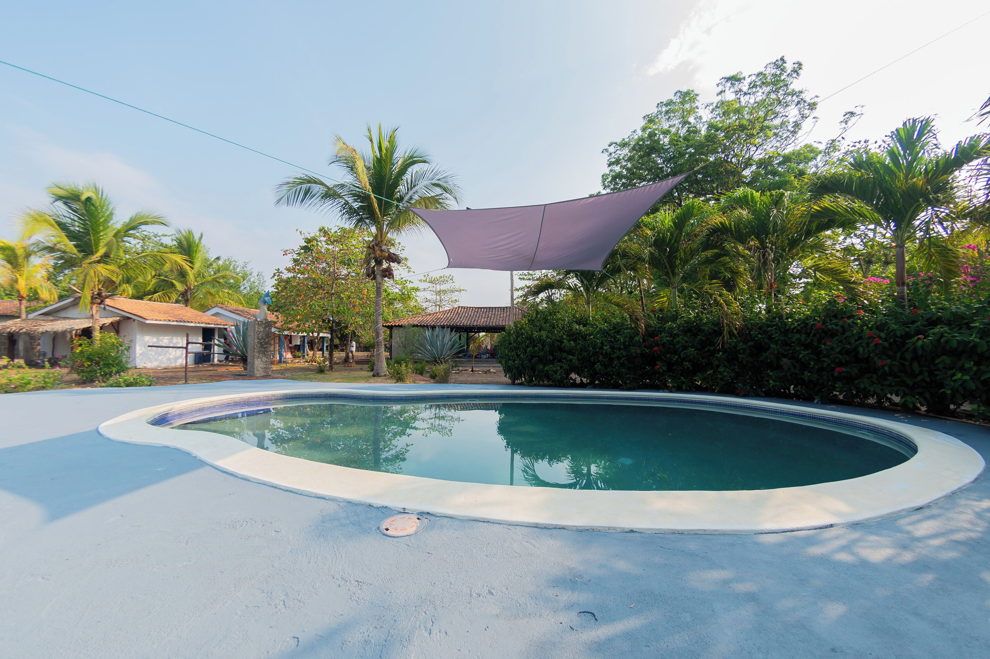 A swimming pool with a shaded area, surrounded by lush greenery and palm trees.