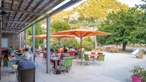 Café al aire libre con mesas y sillas, rodeado de vegetación y con montañas al fondo.