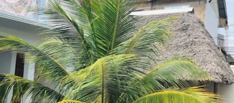 Misonobarini Sweet Villa