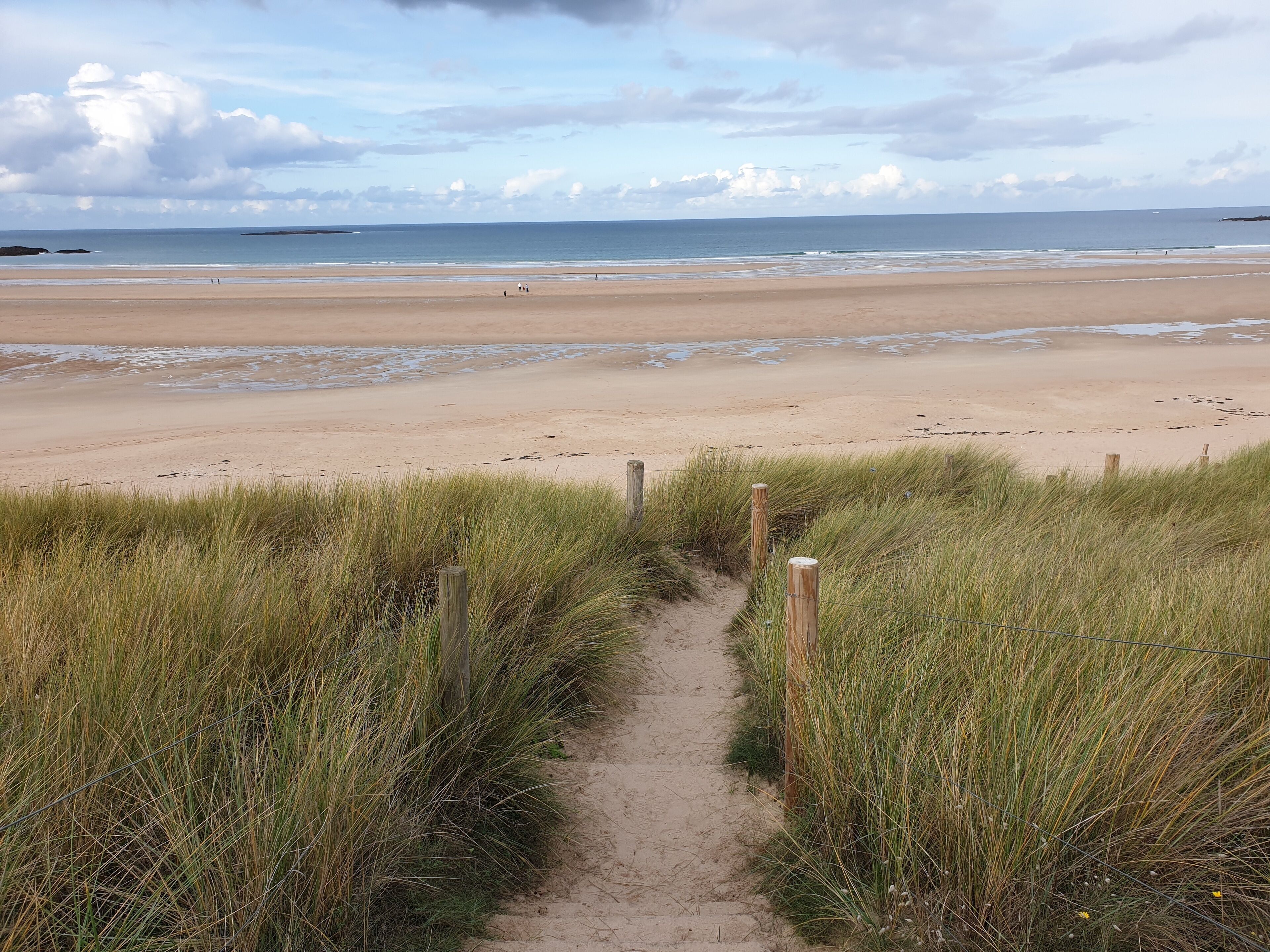 A sandy beach path leading to the ocean, bordered by tall grass and wooden posts.