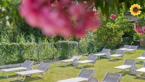 Une rangée de chaises longues disposées dans un jardin, avec une variété de plantes et de fleurs en arrière-plan.