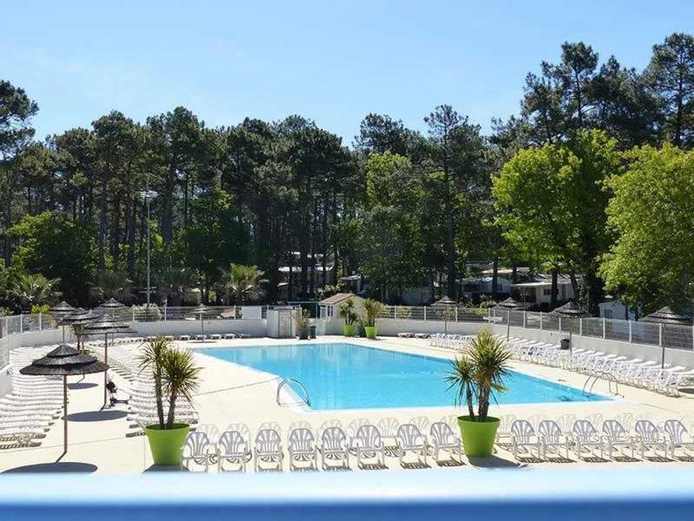 Area piscina con lettini e ombrelloni, circondata da alberi.