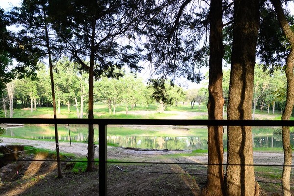 A view of the pond from your patio