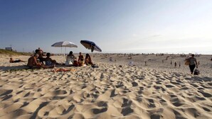 En sandstrand där folk kopplar av under parasoller.
