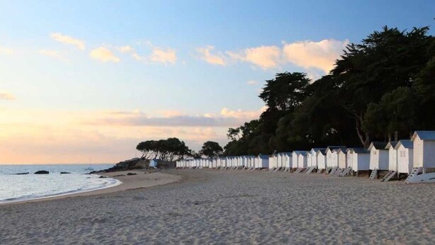 Una playa con cabañas blancas alineadas a lo largo de la orilla, arena y árboles al fondo.