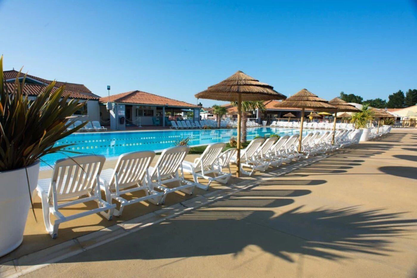 Ett område vid poolen med solstolar och parasoller, en klarblå pool och en byggnad med ett tak täckt av tegelpannor.