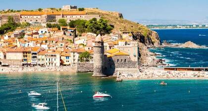 ZEcamping 4* familial 100m plage toboggans dog friendly locatif clim