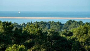 A beach with a sailboat, dense forest, and a clear sky. - ZEcamping 4* 1km plage toboggans dog friendly locatif clim 36m2 8 pers (Les Mathes)