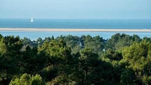Ein Strand mit einem Segelboot, dichtem Wald und blauem Himmel.
