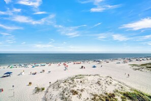 On the beach - ☀️Gulf Front Stunner with Incredible View and Amenities | Gulf House 401☀️ (Gulf Shores)