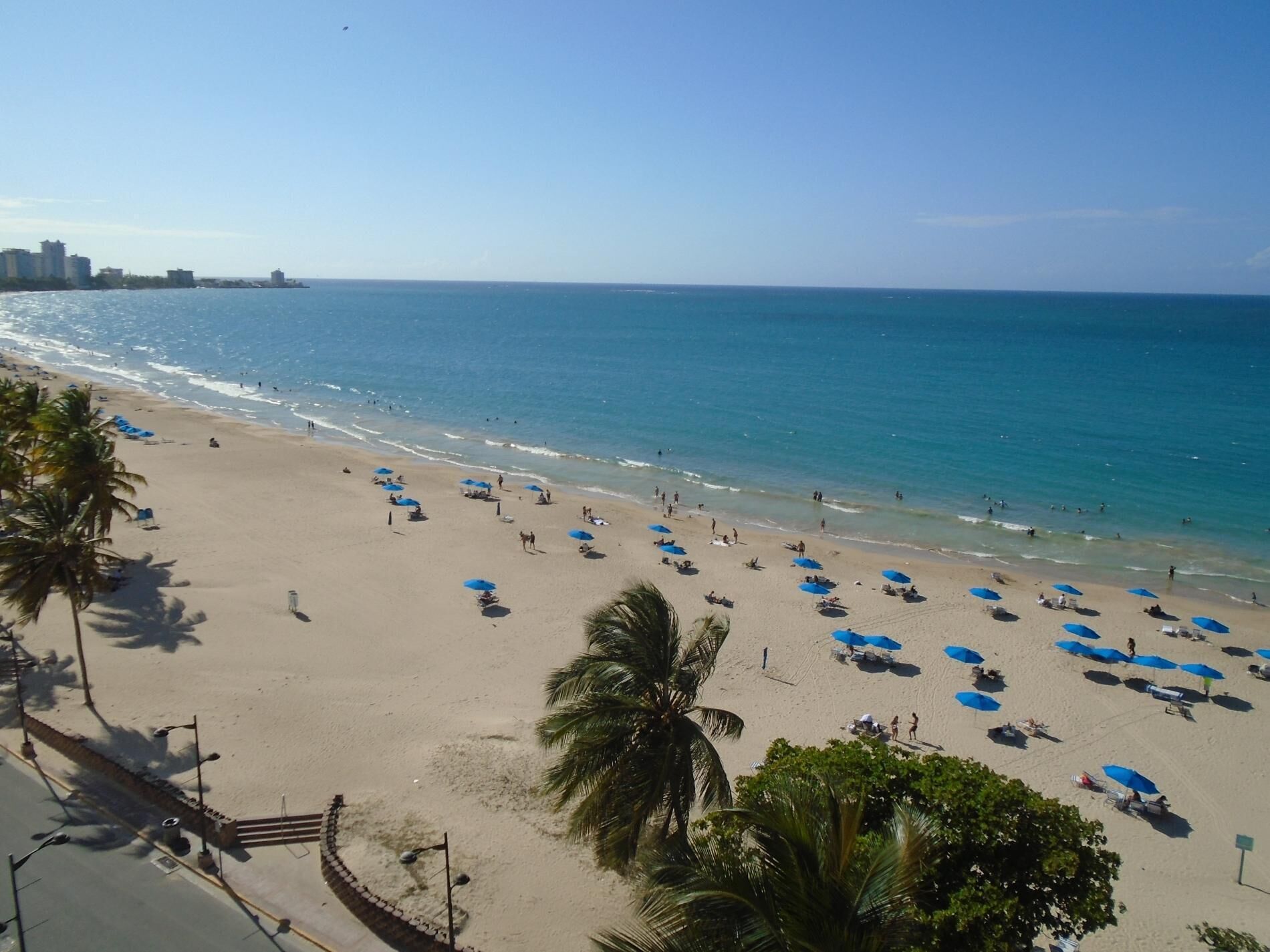 A beach with blue umbrellas and palm trees.