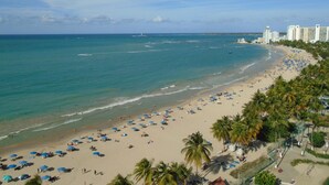 A beach with numerous umbrellas and palm trees, a clear sky, and buildings in the background. - Lady From Spain (Carolina)