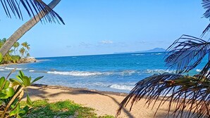 A beach with clear blue water, palm trees, and a distant mountain. - Blue Horizon (Humacao)
