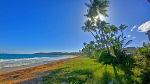 A beach with clear skies, palm trees, and a view of the ocean.